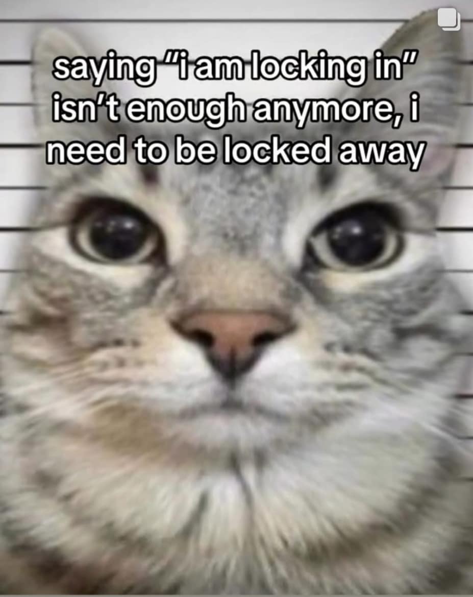 classic memes, vintage memes, viral tweets, retro memes, vintage web jokes, old-school meme references, viral memes, widespread internet funnies, popular digital laughs, web-traveling humor