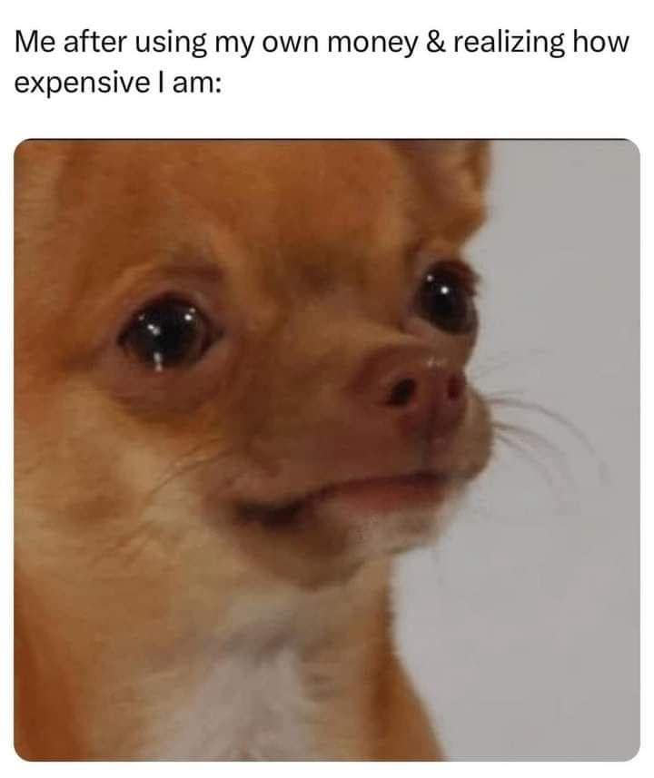 classic memes, vintage memes, viral tweets, timeless memes, evergreen memes, old memes, best memes, web classics, online classics, digital classics, trending memes, popular memes, internet memes