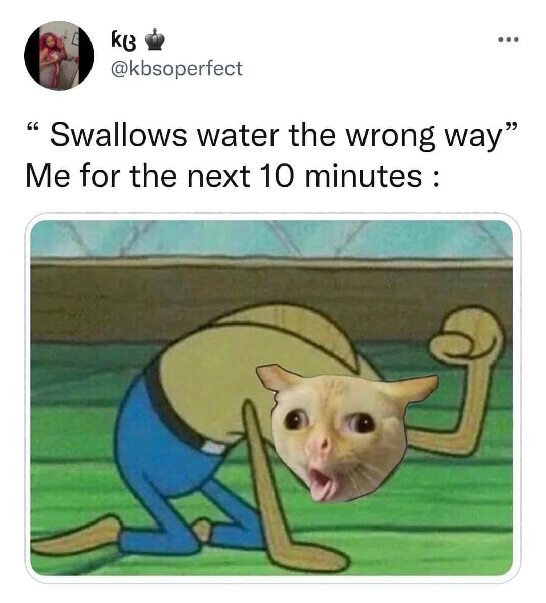 classic memes, vintage memes, viral tweets, old memes, vintage online jokes, retro meme content, old-school digital humor, viral memes, widespread web hits, internet-famed images, net-famous jokes, outdated funnies, legacy visuals, past-era giggles, timeless memes, evergreen joke material, enduring witty images, perpetual online laughs
