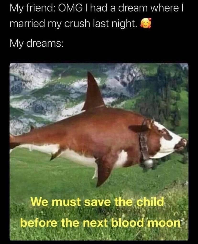 classic memes, vintage memes, viral tweets, old memes, vintage online jokes, retro meme content, old-school digital humor, viral memes, widespread web hits, internet-famed images, net-famous jokes, outdated funnies, legacy visuals, past-era giggles, timeless memes, evergreen joke material, enduring witty images, perpetual online laughs