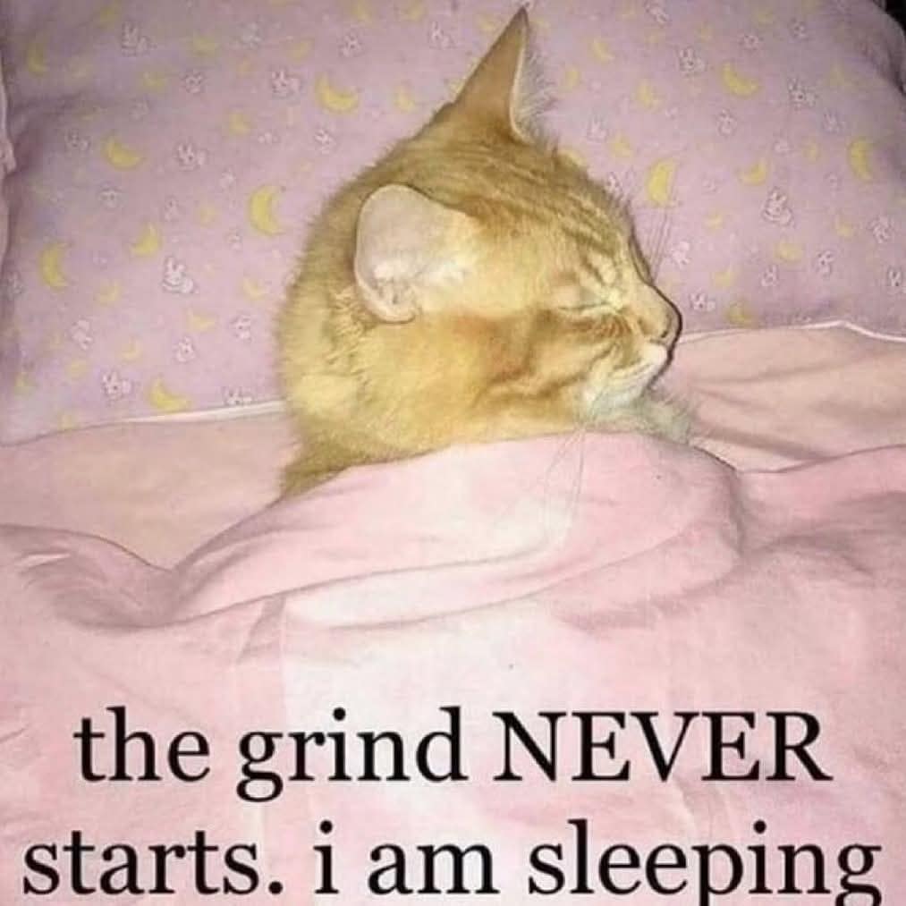 classic memes, vintage memes, viral tweets, timeless chuckles, nostalgia memes, best memes, old memes