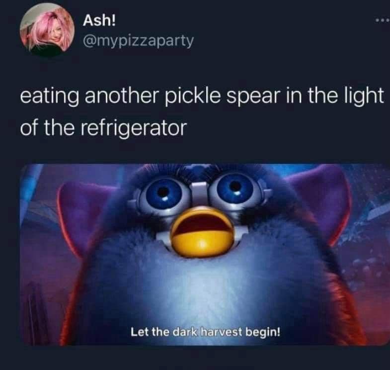 Ash! @mypizzaparty eating another pickle spear in the light of the refrigerator Let the dark harvest begin!