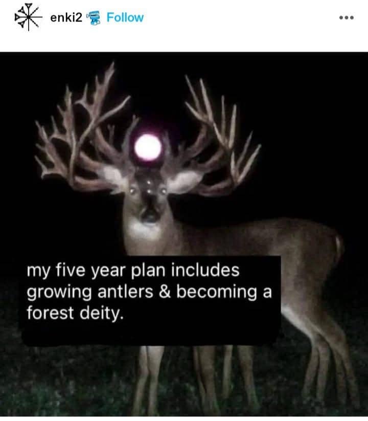 classic memes, vintage memes, viral tweets, best memes, old memes, Funny internet trends, Timeless humor