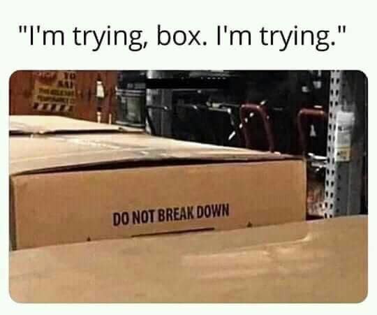 classic memes, vintage memes, viral tweets, retro memes, vintage web jokes, old-school meme references, viral memes, widespread internet funnies, popular digital laughs, web-traveling humor