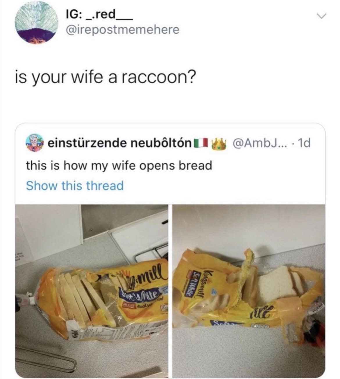 IG: _.red_ @irepostmemehere is your wife a raccoon? einstürzende neubôltón I this is how my wife opens bread Show this thread we white aliced ve AWile gamilf V @AmbJ... • 1d