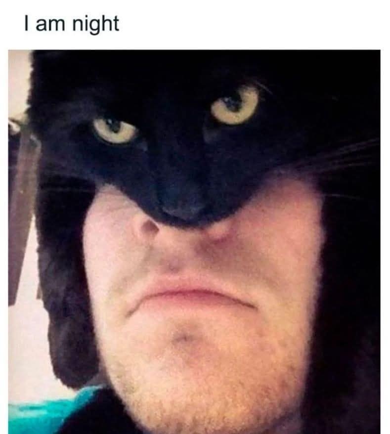 I am night cat meme