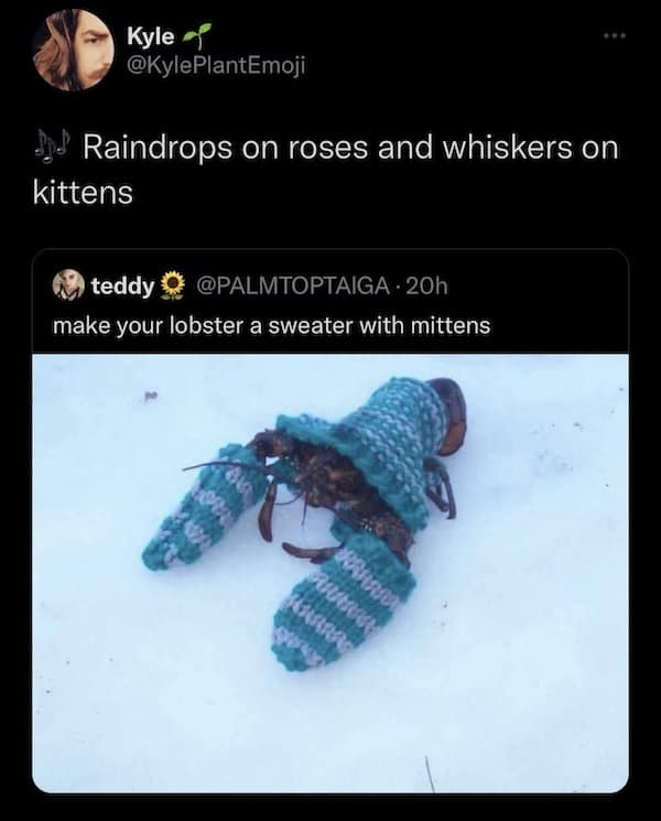 Kyle @KylePlantEmoji I Raindrops on roses and whiskers on kittens 49) teddy O @PALMTOPTAIGA • 20h make your lobster a sweater with mittens