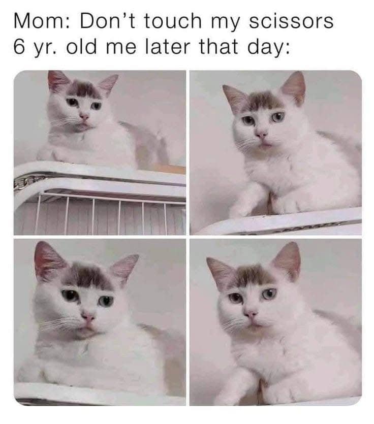Mom: Don't touch my scissors 6 yr. old me later that day:
