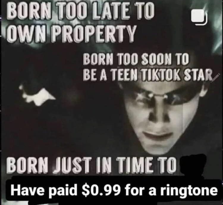 BORN TOO LATE TO OWN PROPERTY BORN TOO SOON TO BE A TEEN TIKTOK STAR BORN JUST IN TIME TO Have paid $0.99 for a ringtone