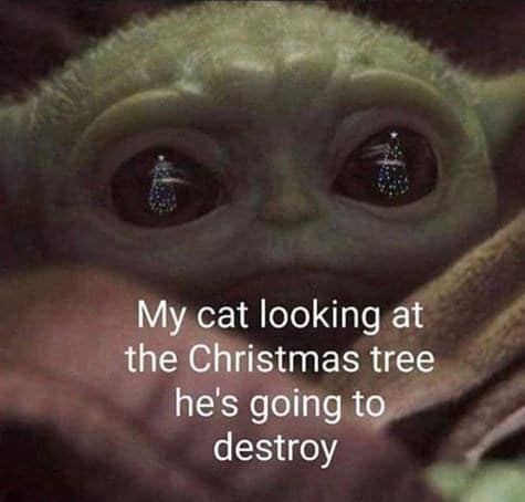 december memes, Winter memes, cold weather memes, snow memes, winter humor, december 1st memes, year-end memes