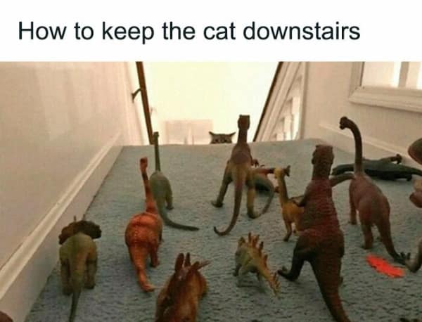 dinosaur memes, funny dinosaur memes, comedic dino pics, silly dinosaur jokes, dino laugh prints, ancient era jokes, dinosaur-era laughs, primeval humor, dino memes