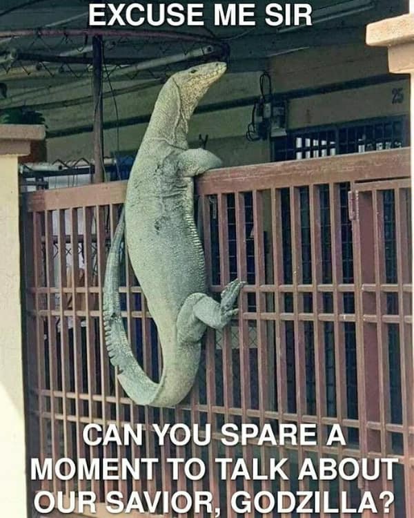 dinosaur memes, funny dinosaur memes, comedic dino pics, silly dinosaur jokes, dino laugh prints, ancient era jokes, dinosaur-era laughs, primeval humor, dino memes