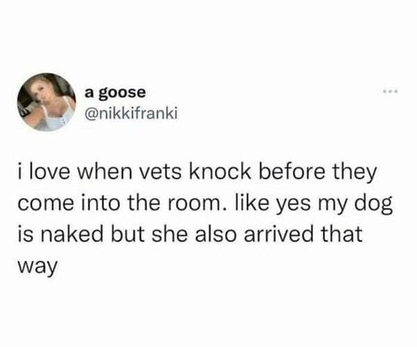 dog memes, doggo memes, dog meme collection, dog meme gallery, canine-themed memes, unny dog memes, humorous canine images, amusing puppy pics, comical pooch posts dog humor, witty canine commentary, sarcastic bark banter, clever tail wagging dog pictures, adorable pup visuals, charming furry snapshots, delightful pet portraits