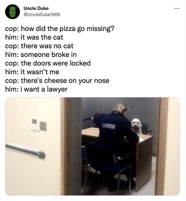 dog memes, doggo memes, dog meme collection, dog meme gallery, canine-themed memes, unny dog memes, humorous canine images, amusing puppy pics, comical pooch posts dog humor, witty canine commentary, sarcastic bark banter, clever tail wagging dog pictures, adorable pup visuals, charming furry snapshots, delightful pet portraits