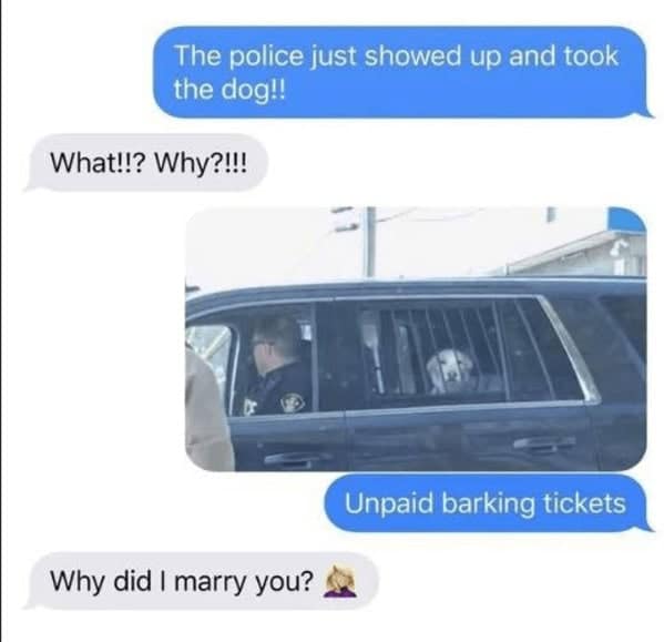 dog memes, doggo memes, dog meme collection, dog meme gallery, canine-themed memes, unny dog memes, humorous canine images, amusing puppy pics, comical pooch posts dog humor, witty canine commentary, sarcastic bark banter, clever tail wagging dog pictures, adorable pup visuals, charming furry snapshots, delightful pet portraits