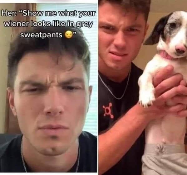 dog memes, doggo memes, dog meme collection, dog meme gallery, canine-themed memes, unny dog memes, humorous canine images, amusing puppy pics, comical pooch posts dog humor, witty canine commentary, sarcastic bark banter, clever tail wagging dog pictures, adorable pup visuals, charming furry snapshots, delightful pet portraits