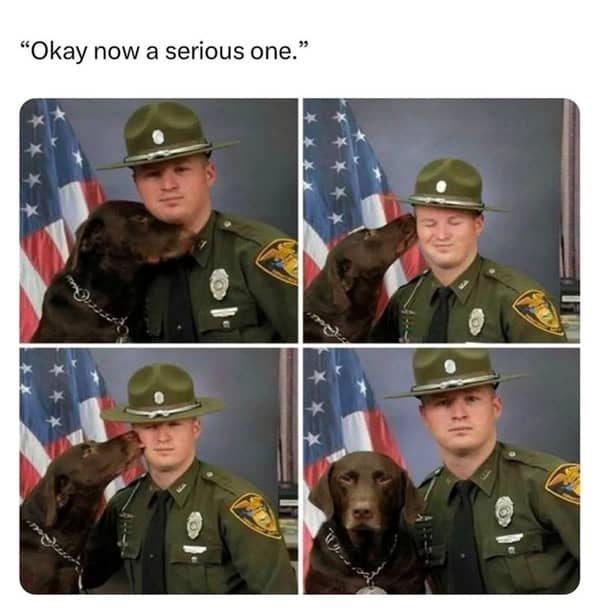 dog memes, doggo memes, dog meme collection, dog meme gallery, canine-themed memes, unny dog memes, humorous canine images, amusing puppy pics, comical pooch posts dog humor, witty canine commentary, sarcastic bark banter, clever tail wagging dog pictures, adorable pup visuals, charming furry snapshots, delightful pet portraits