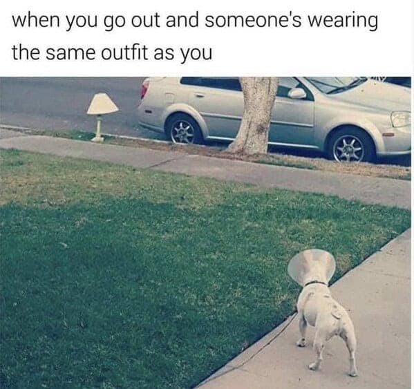 dog memes, doggo memes, dog meme collection, dog meme gallery, canine-themed memes, unny dog memes, humorous canine images, amusing puppy pics, comical pooch posts dog humor, witty canine commentary, sarcastic bark banter, clever tail wagging dog pictures, adorable pup visuals, charming furry snapshots, delightful pet portraits