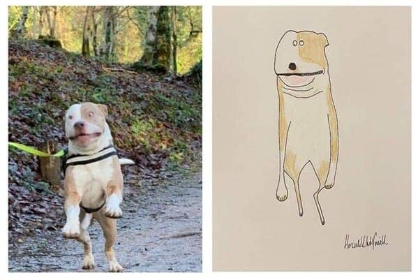 dog memes, doggo memes, dog meme collection, dog meme gallery, canine-themed memes, unny dog memes, humorous canine images, amusing puppy pics, comical pooch posts dog humor, witty canine commentary, sarcastic bark banter, clever tail wagging dog pictures, adorable pup visuals, charming furry snapshots, delightful pet portraits