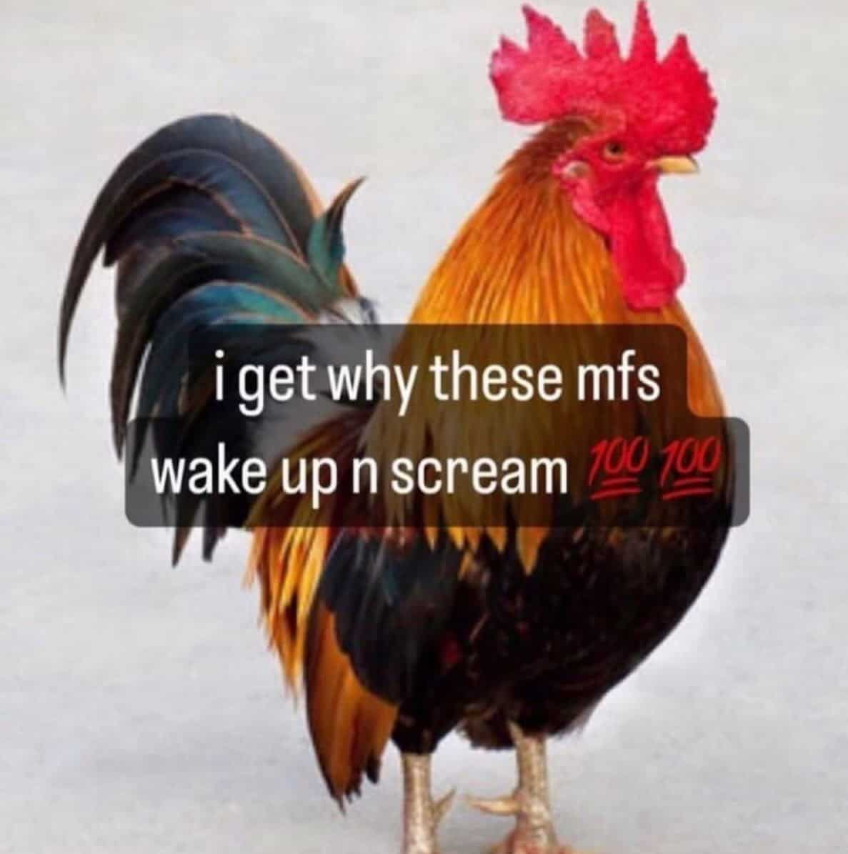 existential memes, emotional memes, philosophical memes, life-questioning memes, cosmic pondering memes, profound memes, meaningful memes, thoughtful humor pics, existential crisis memes, anxious memes, inner turmoil memes, identity questioning jokes