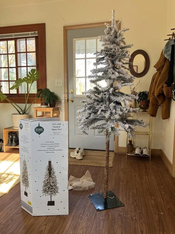 expectations vs reality, expectation vs reality, dream vs outcome, hope vs actual result, plan vs fiasco, expectation fails, illusions gone awry, overhyped flops, misplaced confidence busts