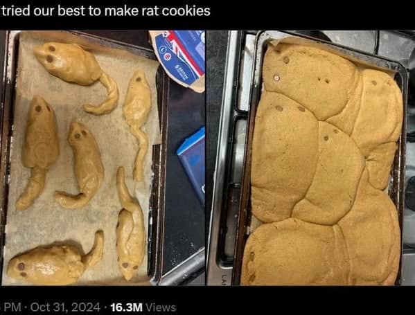 expectations vs reality, expectation vs reality, dream vs outcome, hope vs actual result, plan vs fiasco, expectation fails, illusions gone awry, overhyped flops, misplaced confidence busts