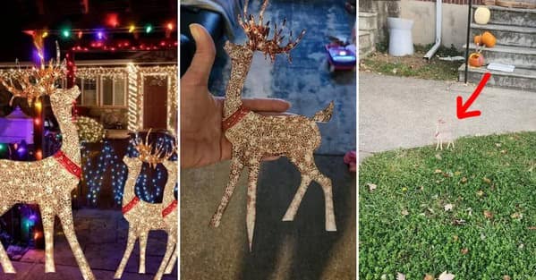 expectations vs reality, expectation vs reality, dream vs outcome, hope vs actual result, plan vs fiasco, expectation fails, illusions gone awry, overhyped flops, misplaced confidence busts