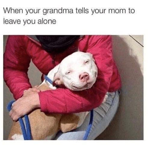 When your grandma tells your mom to leave you alone