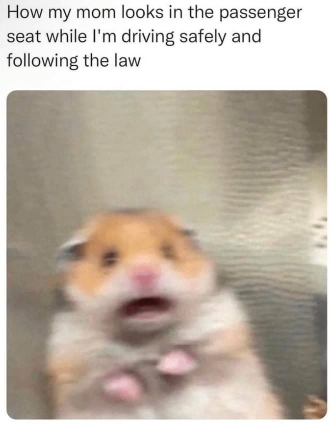 How my mom looks in the passenger seat while I'm driving safely and following the law