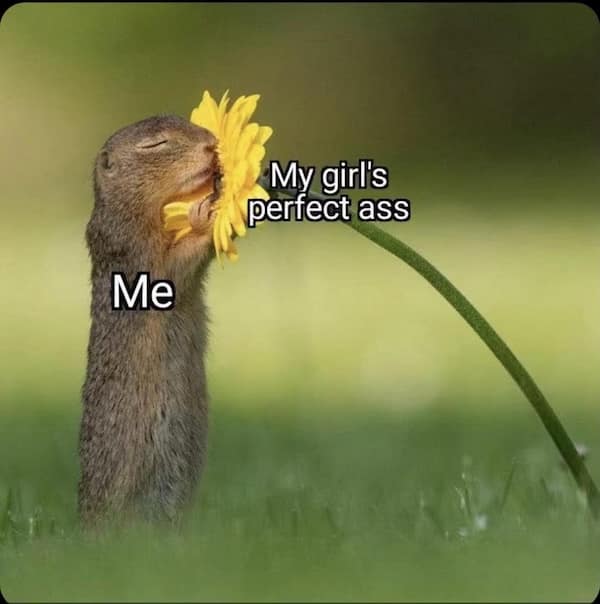 flirty memes, dirty memes, love memes, flirtation memes, alluring meme collection, suggestive images, slightly naughty posts, risqué visual jokes, playfully improper humor, relationship memes, couple-based funnies, partnered humor visuals, romantic duo laughter, affectionate wit, heart-themed images, tender joke pics