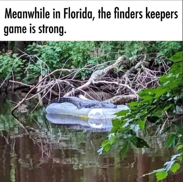 Florida memes, Florida man memes, Florida jokes, Florida humor, Florida man stories, Florida news, bizarre Florida