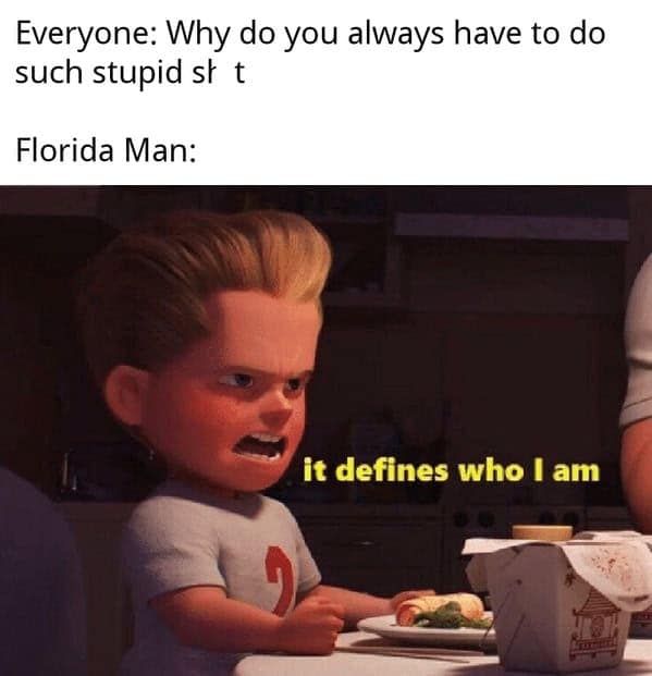 Florida memes, Florida man memes, Florida jokes, Florida humor, Florida man stories, Florida news, bizarre Florida