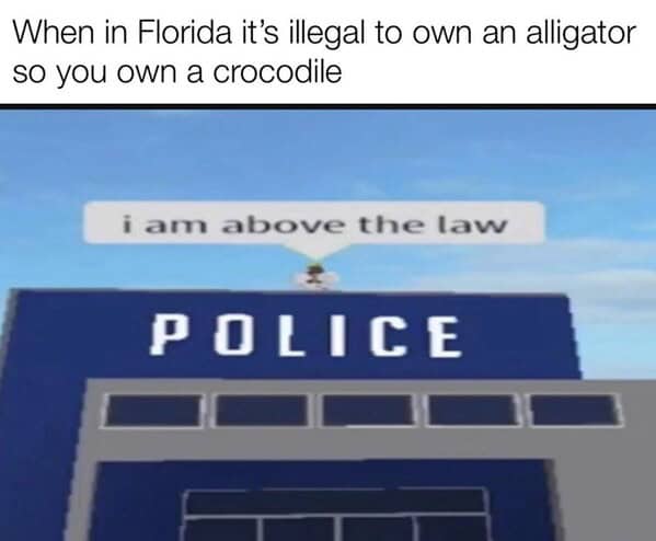 Florida memes, Florida man memes, Florida jokes, Florida humor, Florida man stories, Florida news, bizarre Florida