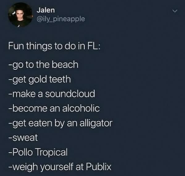 Florida memes, Florida man memes, Florida jokes, Florida humor, Florida man stories, Florida news, bizarre Florida