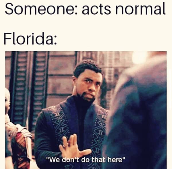 Florida memes, Florida man memes, Florida jokes, Florida humor, Florida man stories, Florida news, bizarre Florida