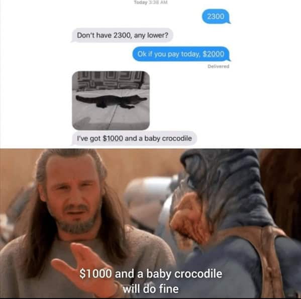 Florida memes, Florida man memes, Florida jokes, Florida humor, Florida man stories, Florida news, bizarre Florida