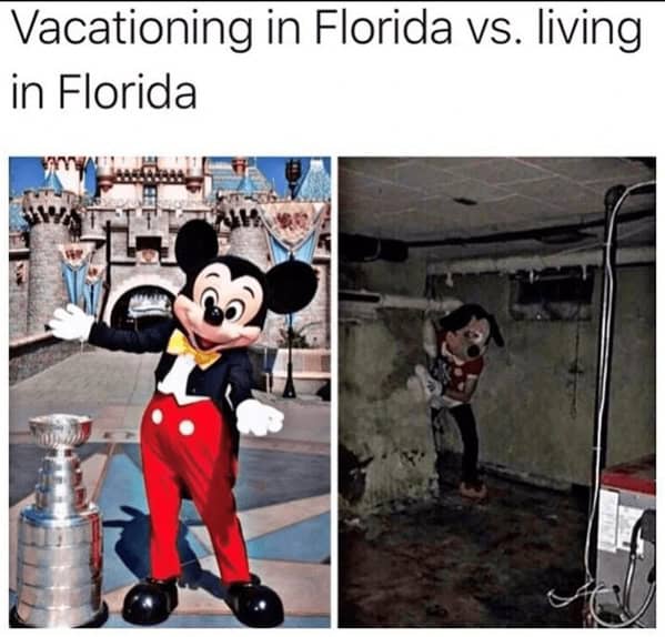 Florida memes, Florida man memes, Florida jokes, Florida humor, Florida man stories, Florida news, bizarre Florida