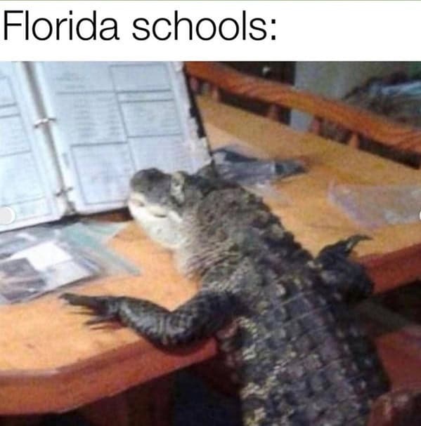 Florida memes, Florida man memes, Florida jokes, Florida humor, Florida man stories, Florida news, bizarre Florida