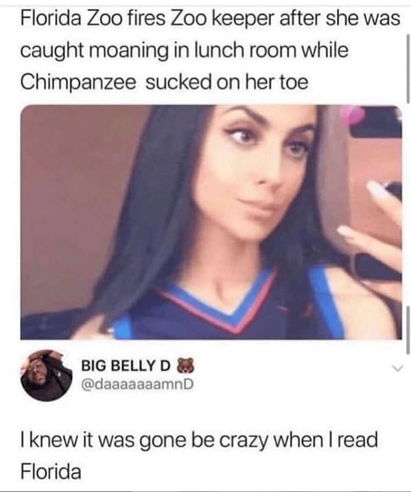 Florida memes, Florida man memes, Florida jokes, Florida humor, Florida man stories, Florida news, bizarre Florida