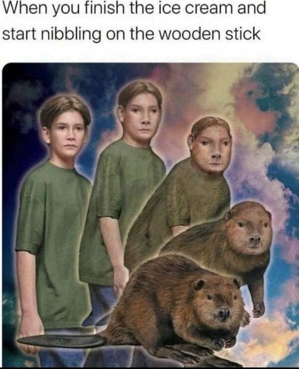 food memes, snack memes, foodie memes, funny food memes, eating memes, Foodie humor, food humor, culinary humor, gastronomy humor, snacking memes, snack humor, snack jokes