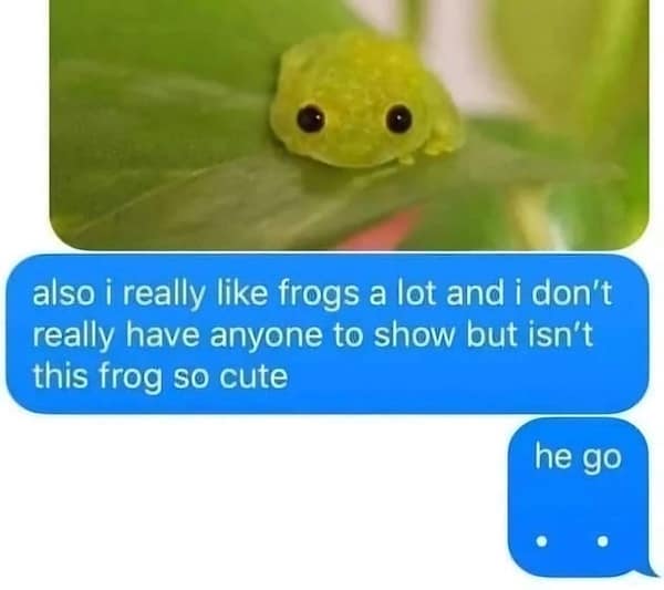 also i really like frogs a lot and i don't really have anyone to show but isn't this frog so cute