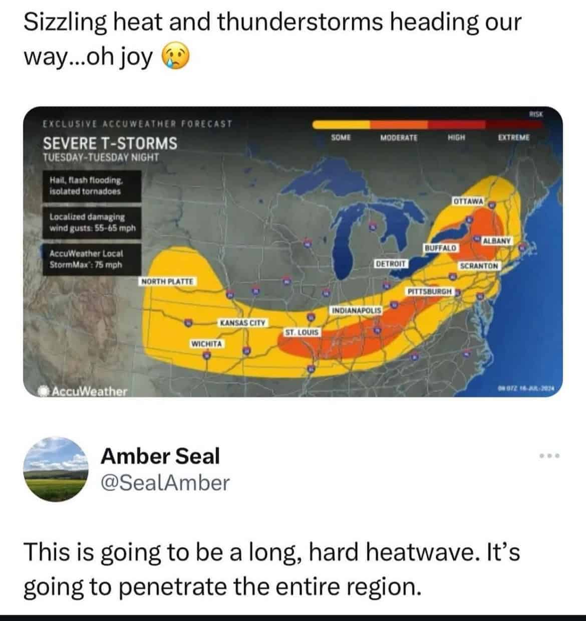 funny comments, funny replies, witty comments, humorous replies, comedic remarks, hilarious comments: uproarious responses, laugh-worthy retorts, riotous quips, social media comments, online replies, digital chatter, net-based commentary, best comments, top-notch replies, standout remarks, winning zingers