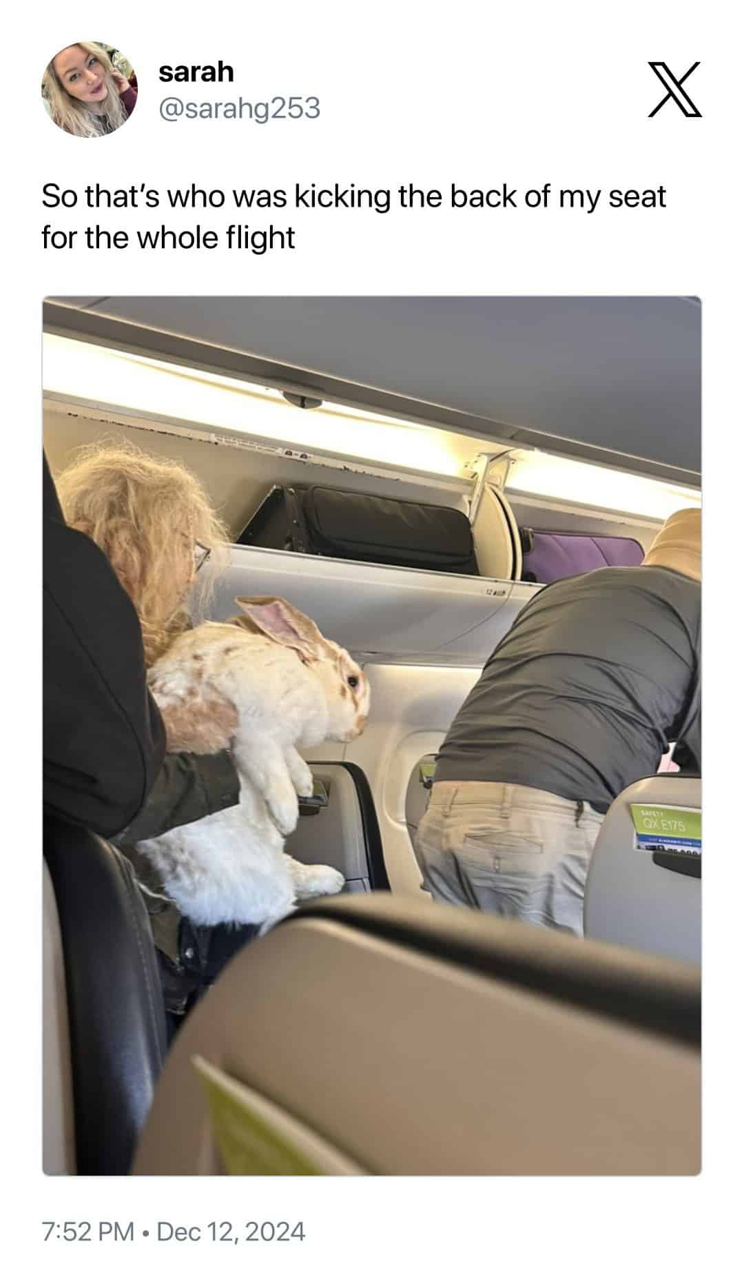 funny fails, comedic blunders, mishap humor, goof moments, hilarious fails: amusing screw-ups, comedic slipups, side-splitting mistakes, epic fails, colossal blunders, monumental errors, major slipups, fail moments, cringe instants, unfortunate events, whoops times