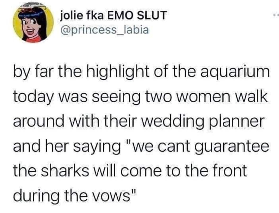 by far the highlight of the aquarium today was seeing two women walk around with their wedding planner and her saying "we cant guarantee the sharks will come to the front during the vows"