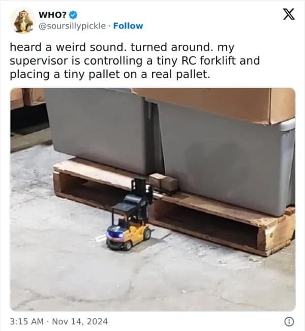 heard a weird sound. turned around. my supervisor is controlling a tiny RC forklift and placing a tiny pallet on a real pallet.