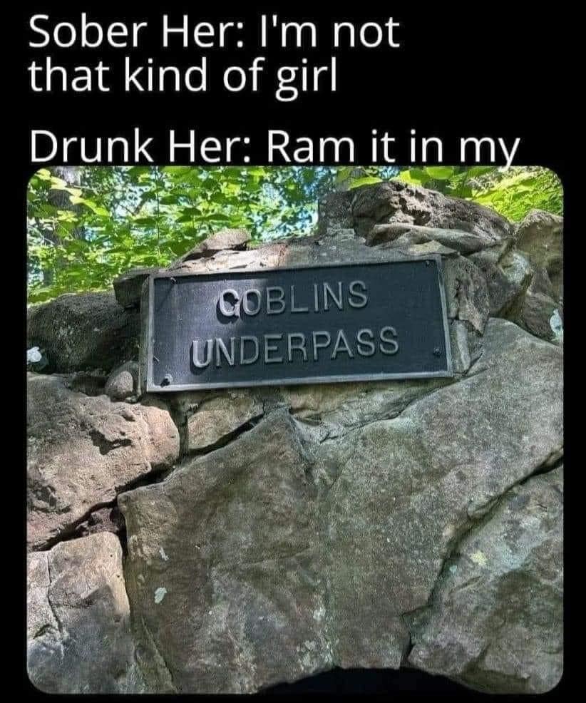 Sober Her: I'm not that kind of girl Drunk Her: Ram it in my GOBLINS UNDERPASS