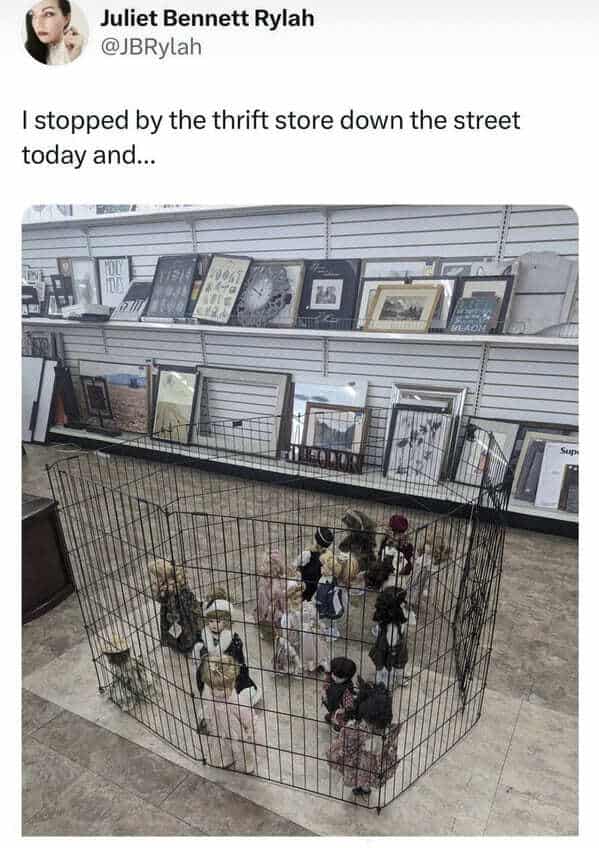 I stopped by the thrift store down the street today and...