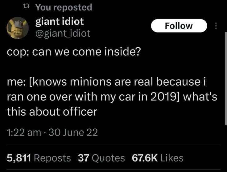 cop: can we come inside? Follow me: [knows minions are real because i ran one over with my car in 2019] what's this about officer