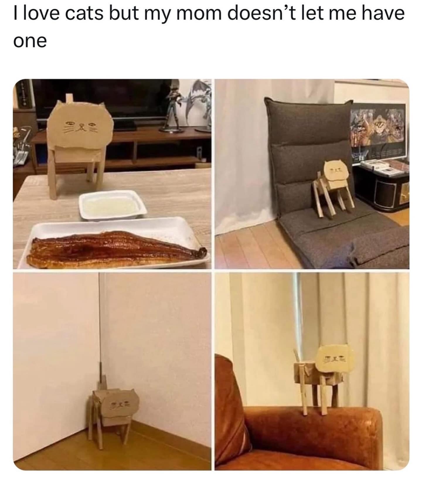 Ilove cats but my mom doesn't let me have one