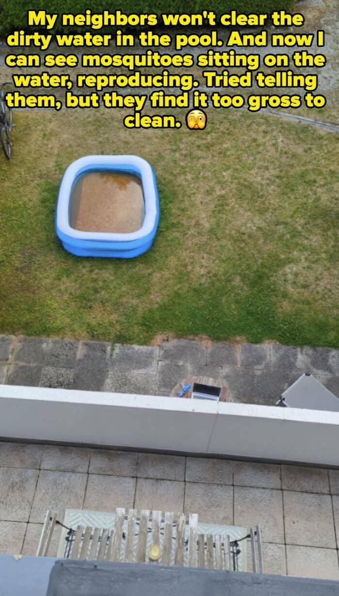 funny neighbor memes, nightmare neighbors, hilarious neighbor memes, comedic neighbor memes, amusing neighbor memes, neighbor problems, neighbor issues, neighbor troubles, neighbor conflicts, bad neighbors, annoying neighbors, troublesome neighbors, worst neighbors, neighborhood memes, community humor, local jokes